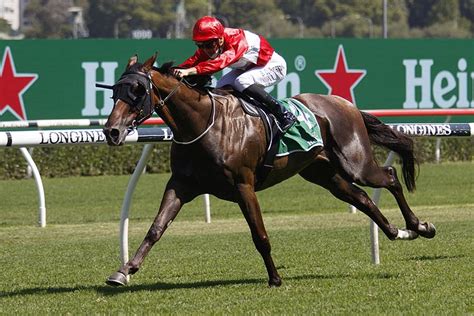 Sacramento Thoroughbred Horse Profile - Next Race, Form, Stats, News ...