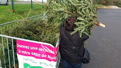 Où se débarrasser de son sapin de Noël dans l agglo yonnaise ici