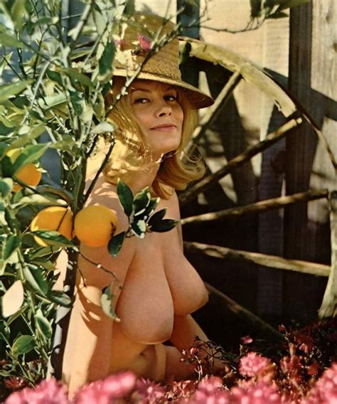 Reagan Wilson Playboy Playmate For October 1967 Reddit NSFW