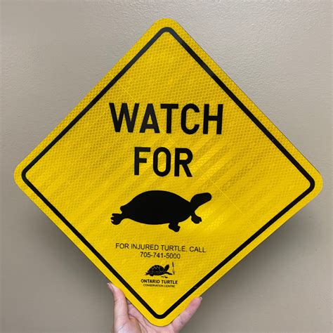 Turtle Crossing Sign Ontario Turtle Conservation Centre