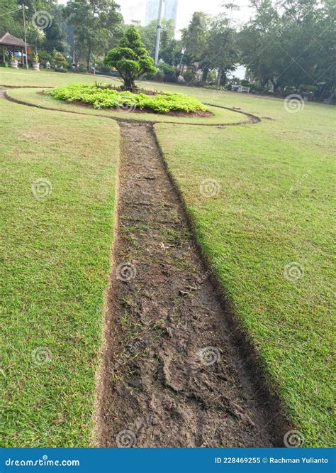 Brown Dirt Road With Grass On The Side Leading To Trees Surrounded By