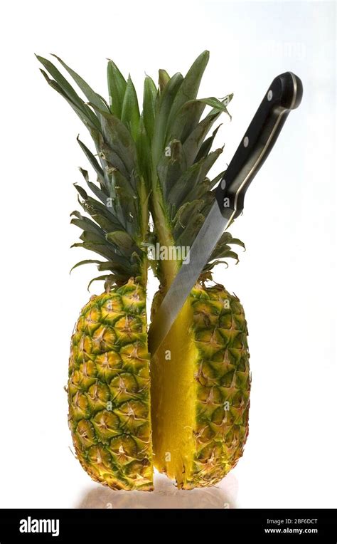 Pineapple contains a proteolytic enzyme bromelain, which breaks down ...