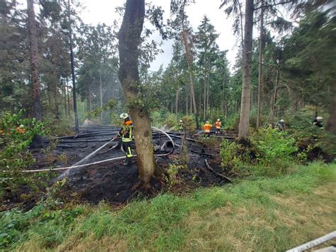 FW ROW Waldbrand endet Dank frühzeitiger Entdeckung glimpflich