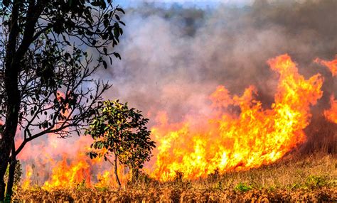 Cinco provincias registran incendios activos en el país