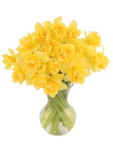 First Sign of Spring Daffodils Bouquet | Spring Flowers | Flower Shop ...