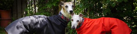 The whippet coats