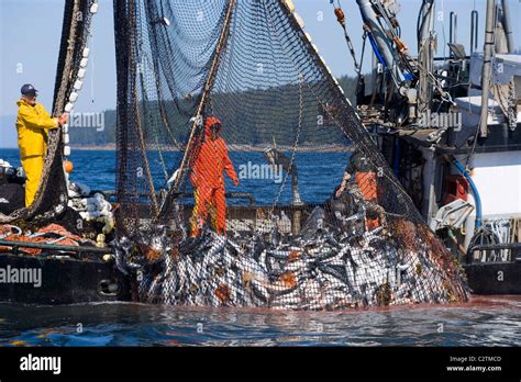 Commercial Salmon Fishing Boats