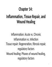 Understanding Inflammation Tissue Repair And Wound Healing A