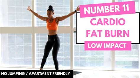 No Jumping LOW IMPACT CARDIO Workout Beginner Friendly No 11