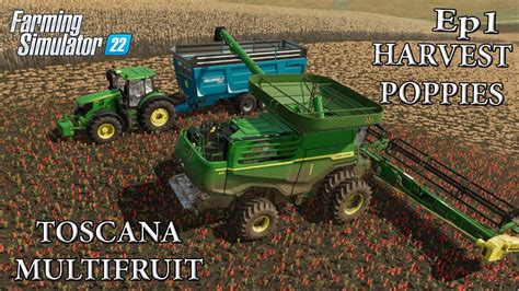 HARVEST POPPIES AND STARTER MAP TOSCANA MULTIFRUIT FARMING SIMULATOR