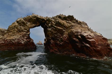 Islas Ballestas Paracas Peru Oc 4928 3280 Landscape Pictures