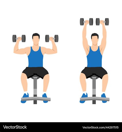 Man Doing Seated Dumbbell Overhead Shoulder Press Vector Image