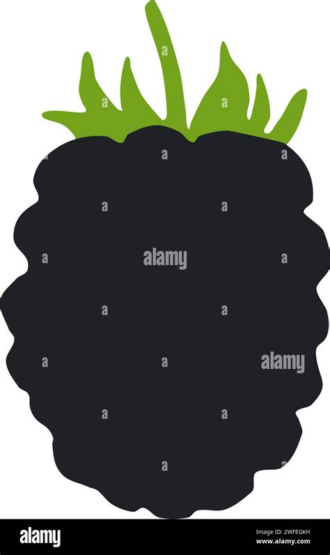 Blackberry Vector Illustration Stock Vector Image And Art Alamy