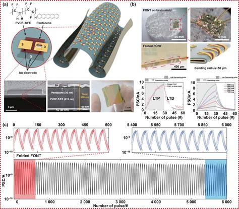 Recent Advances In Fabrication And Functions Of Neuromorphic System