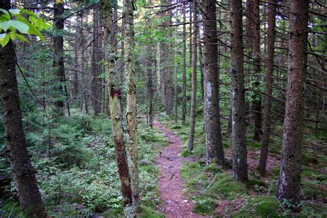 Highland Scenic Trail 1 | Forest Trails| Free Nature Pictures by ...