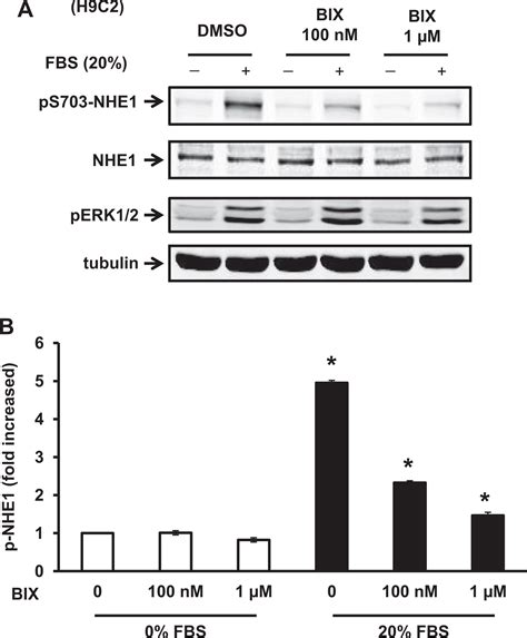 The Rsk Inhibitor Bix Limits Cardiac Ischemia Reperfusion Injury