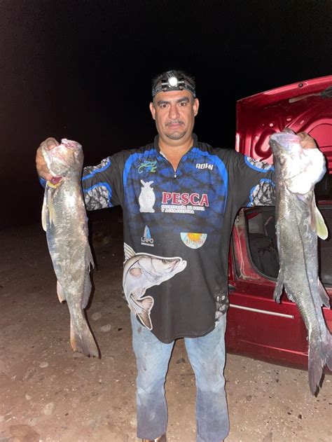 Sale Pa Los Callitos Y El Zarandeado Culichis Fishing Club Se Luce