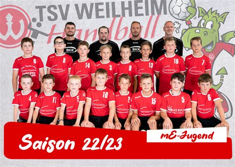 TSV Weilheim Abteilung Handball E Jgd männlich