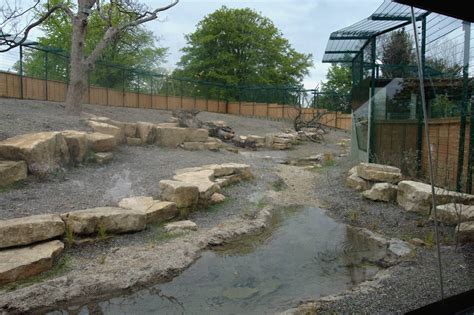 New Asian Lion Enclosure III - Dublin Zoo, May 2012 - ZooChat