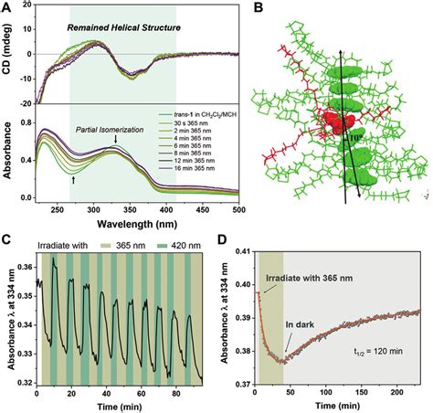 A Uv Vis Absorption Spectra And Circular Dichroism Cd Spectra Of The