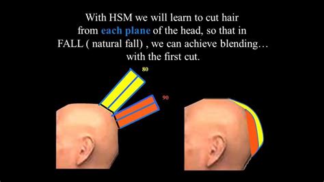 How head shape affects our hair cuts - YouTube