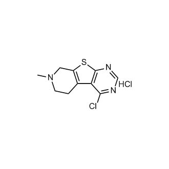 Chloro Methyl Tetrahydropyrido