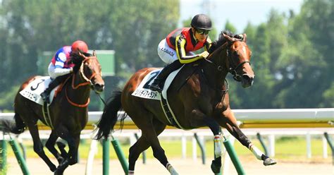 【2歳次走報】リバティアイランドはアルテミスsで引き続き川田騎手とコンビ サンスポzbat