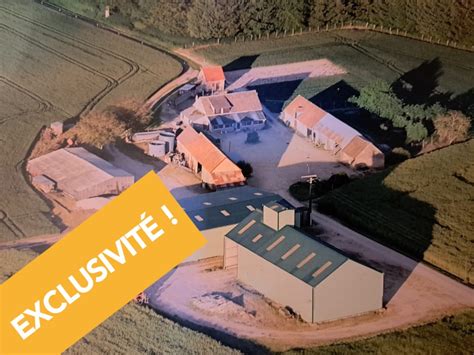 EXCLUSIVITE F3025 LOIR ET CHER 41 SOLOGNE 60ha De Terres Agricoles