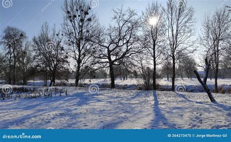 Winter Is Coming Stock Image Image Of Winter Snow 264273475