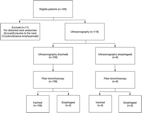 Application Of Bedside Real Time Tracheal Ultrasonography For