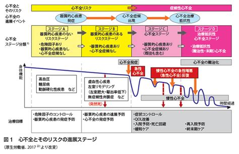 多職種連携 山梨県心不全ネットワーク