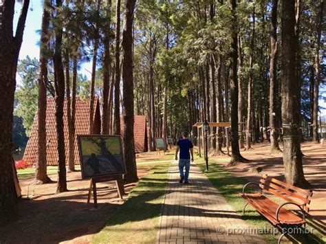 O que fazer em Holambra 20 atrações imperdíveis na Cidade das Flores