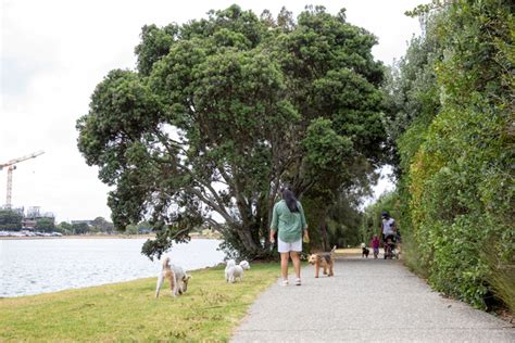 Onehunga Bay Reserve now open - OurAuckland