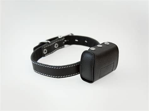 Купить GPS-ошейник для коров, коз, овец – ГдеМои