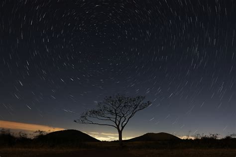 Fond D Cran Ciel Toil Arbre Nuit X Wallpaperup