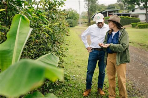 Te Servir Tu Caf Nuevo Ceo De Starbucks Trabajar Como Barista Una