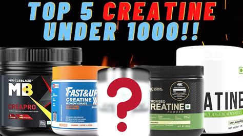 Top Creatine Powder Under Best Creatine Powder Shapeup