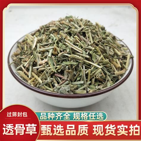 中药材透骨草野生珍珠透骨草非凤仙透骨草新鲜干货500g克包邮虎窝淘