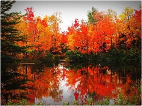 Love The Fall In Northern Ontario Canada Fall Landscape Photography