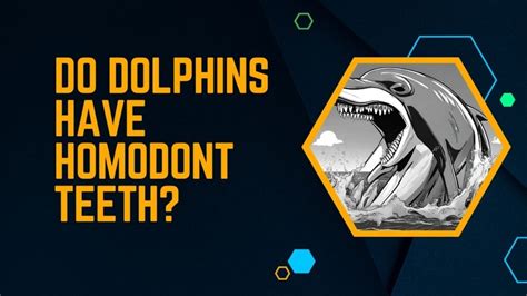 What Type Of Teeth Do Dolphins Have? Unveiling the Mystery | DolphinXpert.com