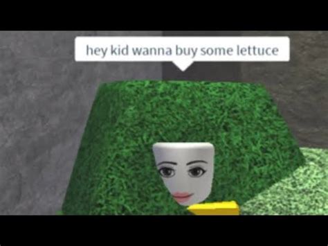 Minutes And Seconds Of Random Low Quality Roblox Memes That Cure