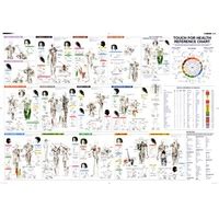 Applied Kinesiology Wall Chart A Visual Reference Of Charts Chart Master