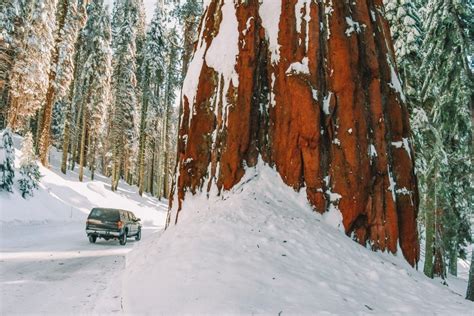 23 Best Places For Snow In California (Beautiful Winter Getaways)