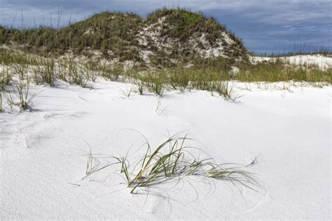 Things To Do Okaloosa Island Florida Guide