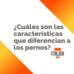 Caracter Sticas De Los Pernos Y C Mo Identificarlos Italica Pernos