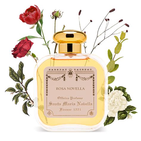 Santa Maria Novella 산타마리아노벨라 로사 노벨라 오드코롱 100ml S I Village 에스아이빌리지