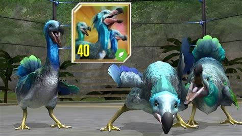 New Dodo Unlocked Max Level 40 Firstlook Pvp Battles Jurassic World The Game Youtube