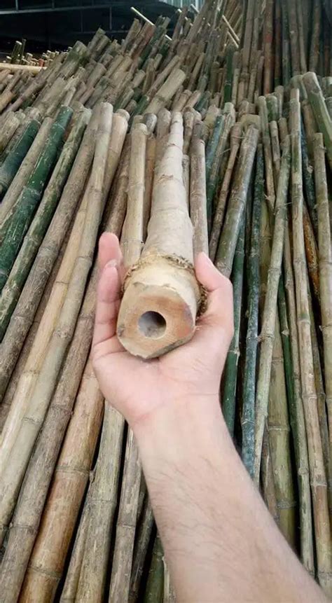 Wholesale Vietnam Bamboo Poles Natural Bamboo Pole Cane Stick