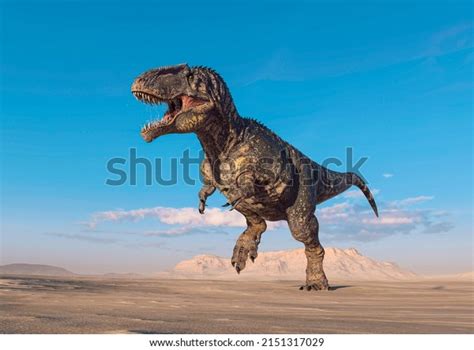 Giganotosaurus Running On Sunset Desert Side Stock Illustration 2151317029 Shutterstock