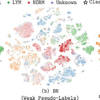 The T SNE Visualization 40 Comparison Of Self Supervised Trained